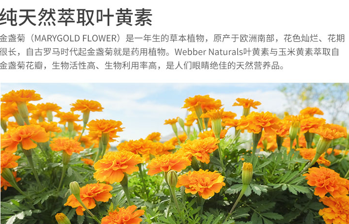 縮圖：加拿大Webber Naturals 叶黄素 Lutein