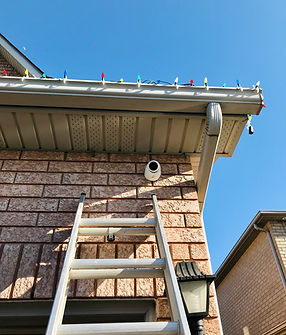 2021-03-21 17.18.jpeg