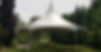 20180609_143651_resized_edited_edited_ed
