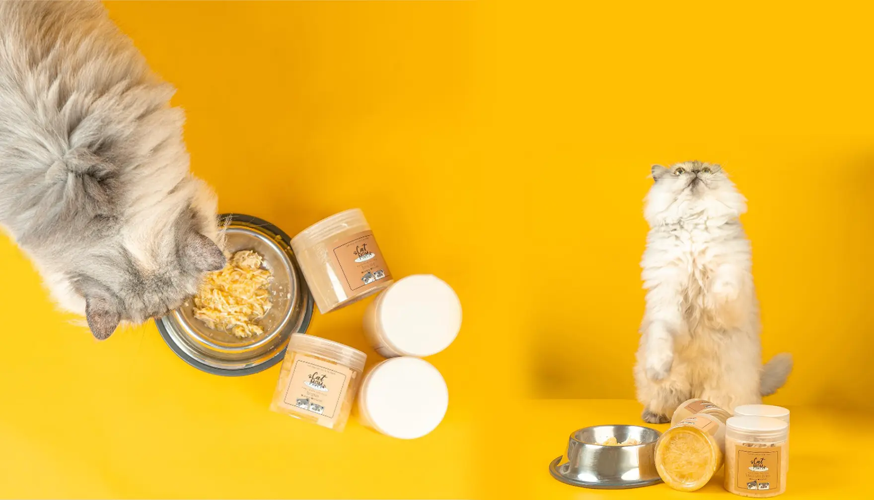Homemade Natural Cat Food for Your Feline Friend Catmom.ae