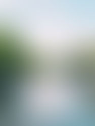 Viagem para a Europa: tudo o que você precisa saber antes de embarcar