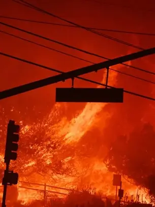 Los Angeles decreta estado de emergência devido a incêndios florestais