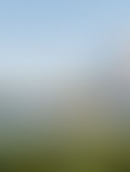 Hotel da Universal em Orlando – as 11 melhores hospedagens para curtir os parques