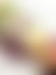 Brasil tem quatro novos restaurantes premiados pelo Guia Michelin 2025; confira