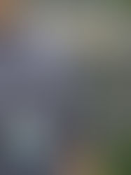 Quatro suspeitos são mortos durante ação da Polícia Civil no campus da Fiocruz