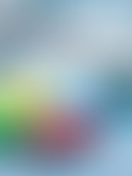 Tabela Analítica - Receitas do Grupo 500 (Operadoras de Planos de Assistência à Saúde