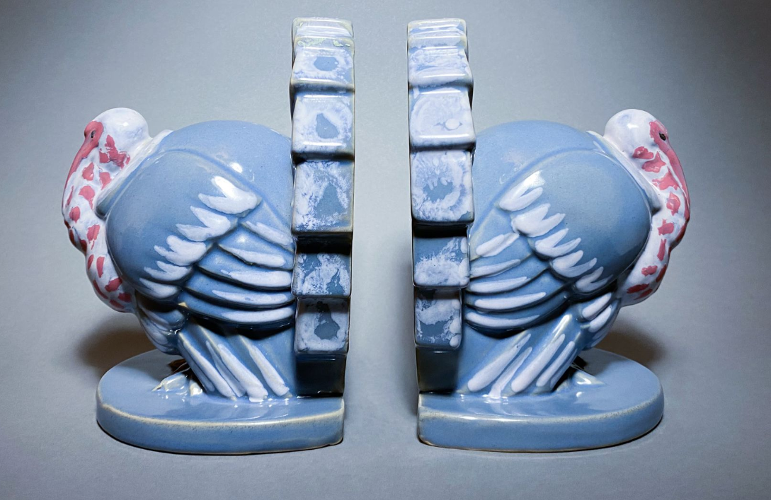 Dindons du nouveau monde