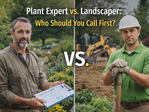 Plant Expert vs Landscaper: Who Should You Call First?