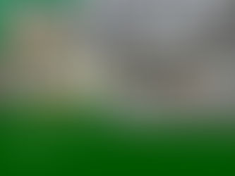 How to Choose the Right Plants