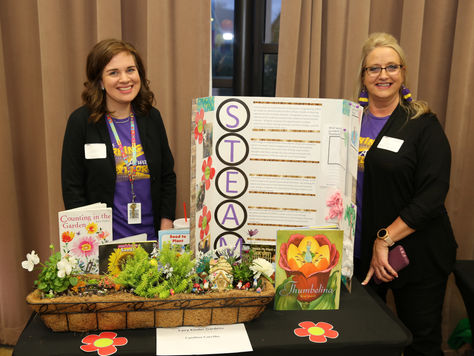 2018-19 STEM Innovative Teaching Grants