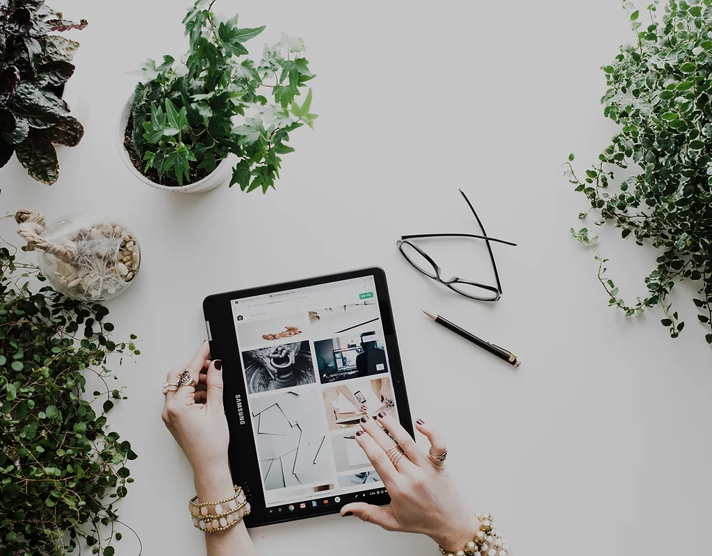 Chicken Products Ayamadu E Store