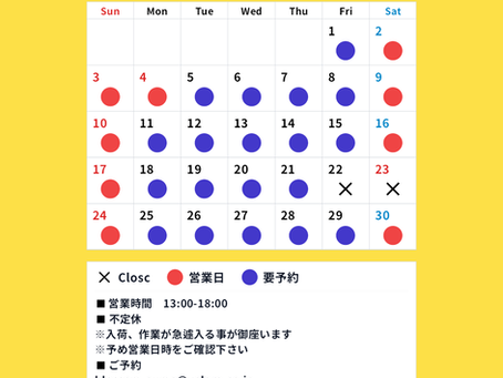 【11月の予定】
