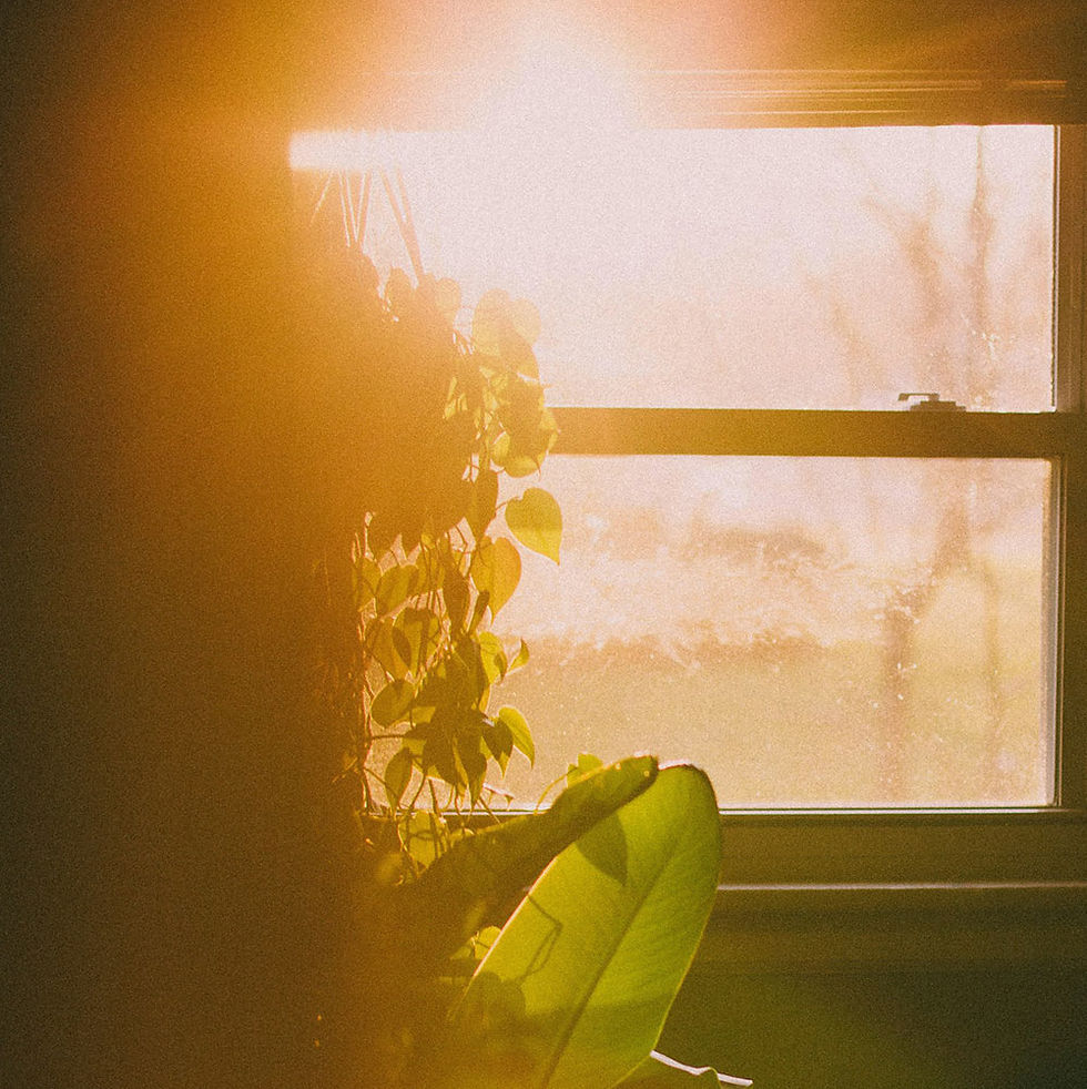 Trauma therapy and EMDR counselling in Vancouver