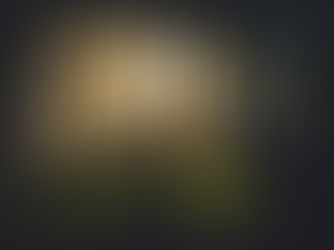 Person walking toward the light in nature, representing the journey from insight to healing through EMDR therapy in Vancouver and online across BC.