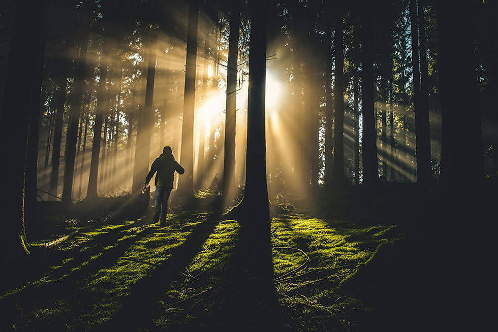 Person walking toward the light in nature, representing the journey from insight to healing through EMDR therapy in Vancouver and online across BC.
