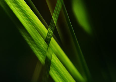 ABSTRAKTNÍ FOTOGRAFIE