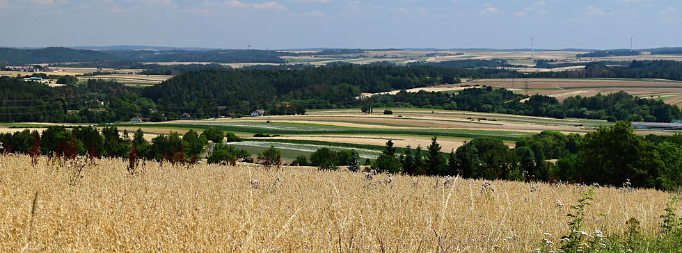 Groß-Siegharts, 2019