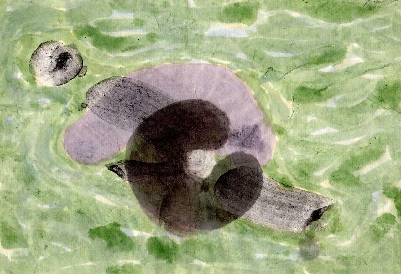 Île de Groix (lastury), 2005, tuš na rýžovém papíře, 16,5 x 24 cm