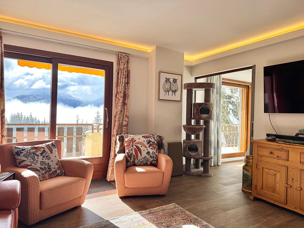 WhatsApp Image 2026-02-20 at 11.57.43 (4).jpeg