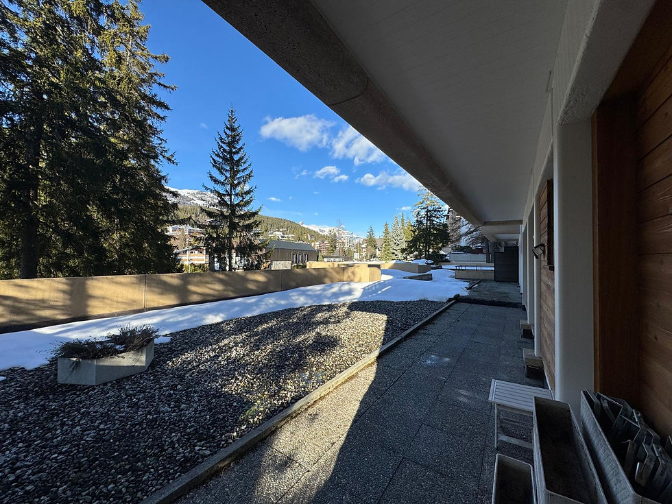 WhatsApp Image 2026-03-17 at 17.45.37 (9).jpeg