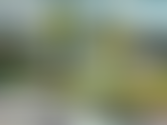 Peinture Auguste ROURE