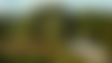 Peinture Auguste ROURE