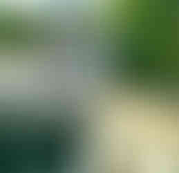 manure dewatering machine application