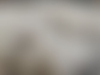 Rotary vibrating sieve machine Bouncing ball features