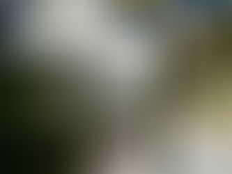 Efficient Garlic Powder Sieving with Tumbler Screening Machine