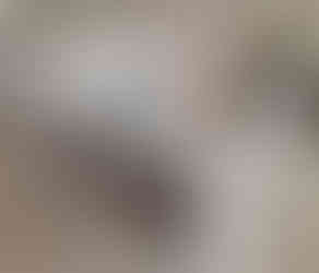 large capacity rotary drum screen for powder