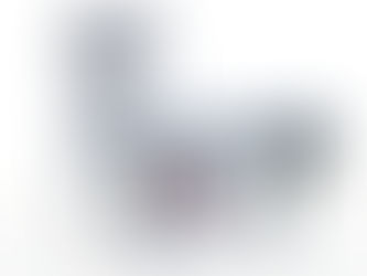 12 Mesh activated carbon sieving Linear Vibrating Screen