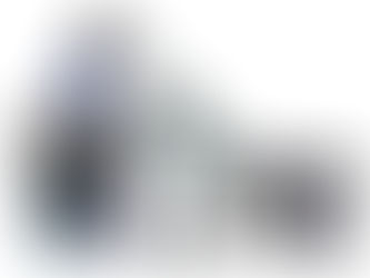 BSF frass and larva separating vibro sieving machine