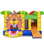 lion_edited_edited.png