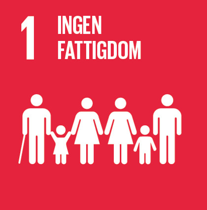 Sustainable-Development-Goals_icons-01.jpg