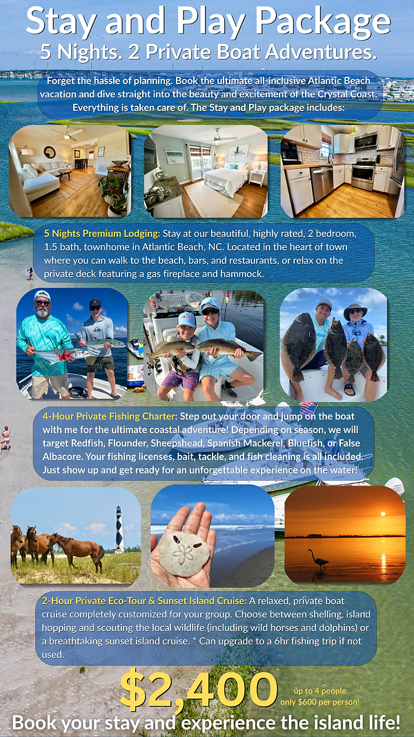 Copy of airbnb-4.png
