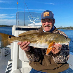 dadredfish