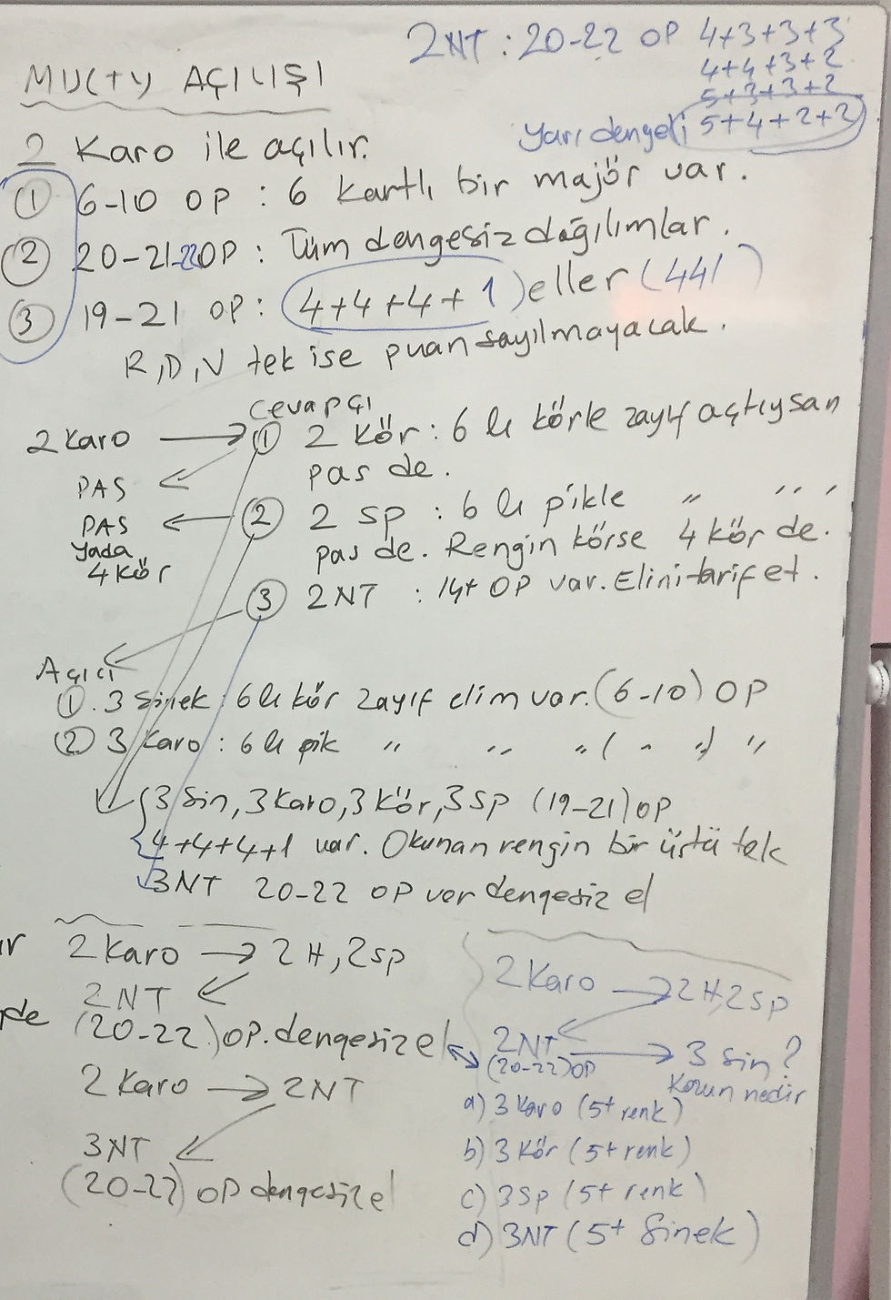 Multy Açılışı