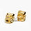 Miniatura: Aretes addai