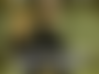 Estamos na Matrix, mas será que conseguimos sair dela?