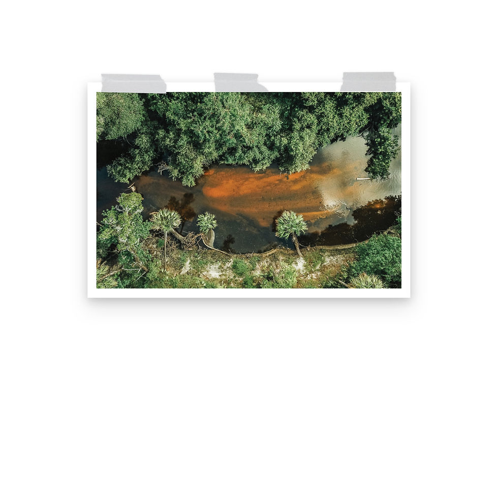 Thumbnail: Alafia River, Tampa