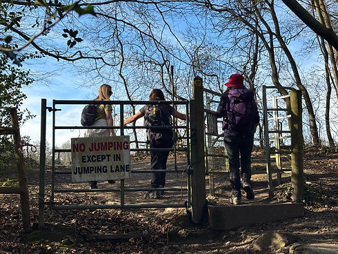 WhatsApp Image 2025-03-23 at 11.38.20_11b216bc.jpg