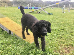 120930790_3320000968121240_8389597499971