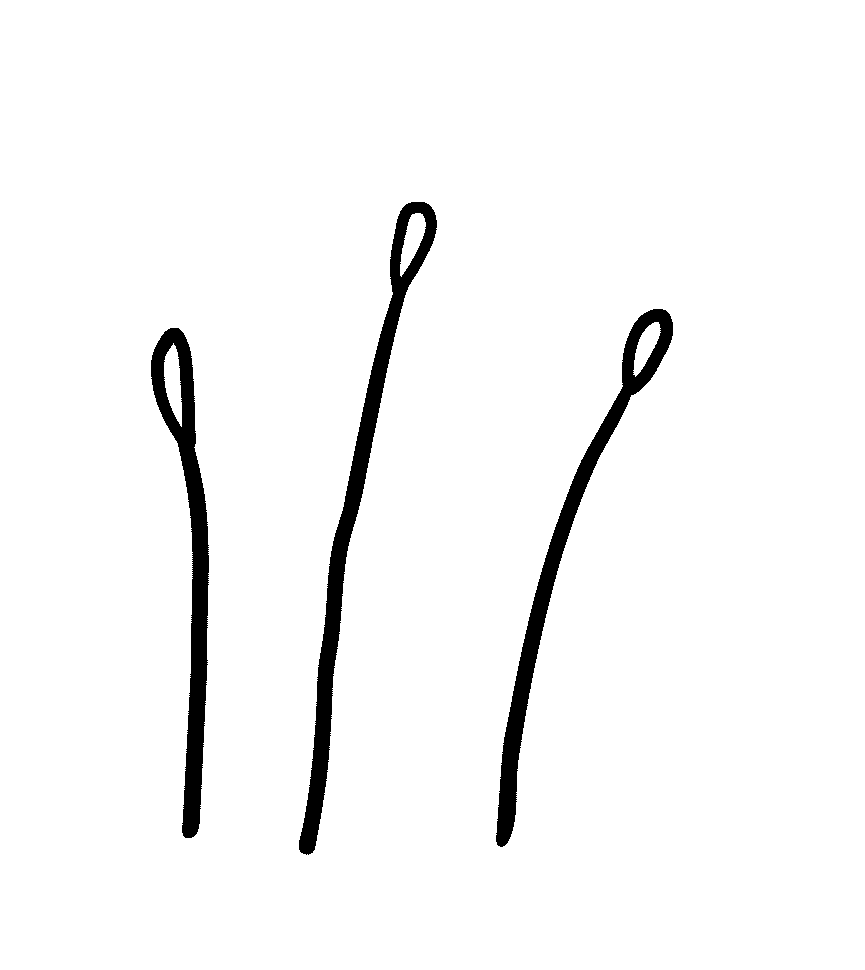 flower-1.gif