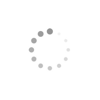 spinner.gif