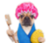 hiclipart.com (1).png