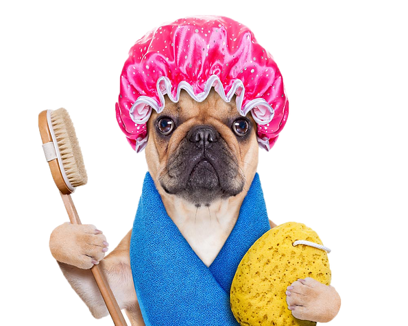 hiclipart.com (1).png