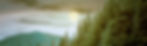 Full-Moon-Over-Forest_edited.jpg