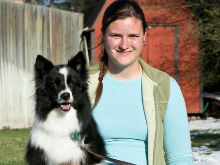 The Magic of the Dog Trainer