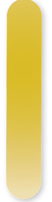 Asset 13.png
