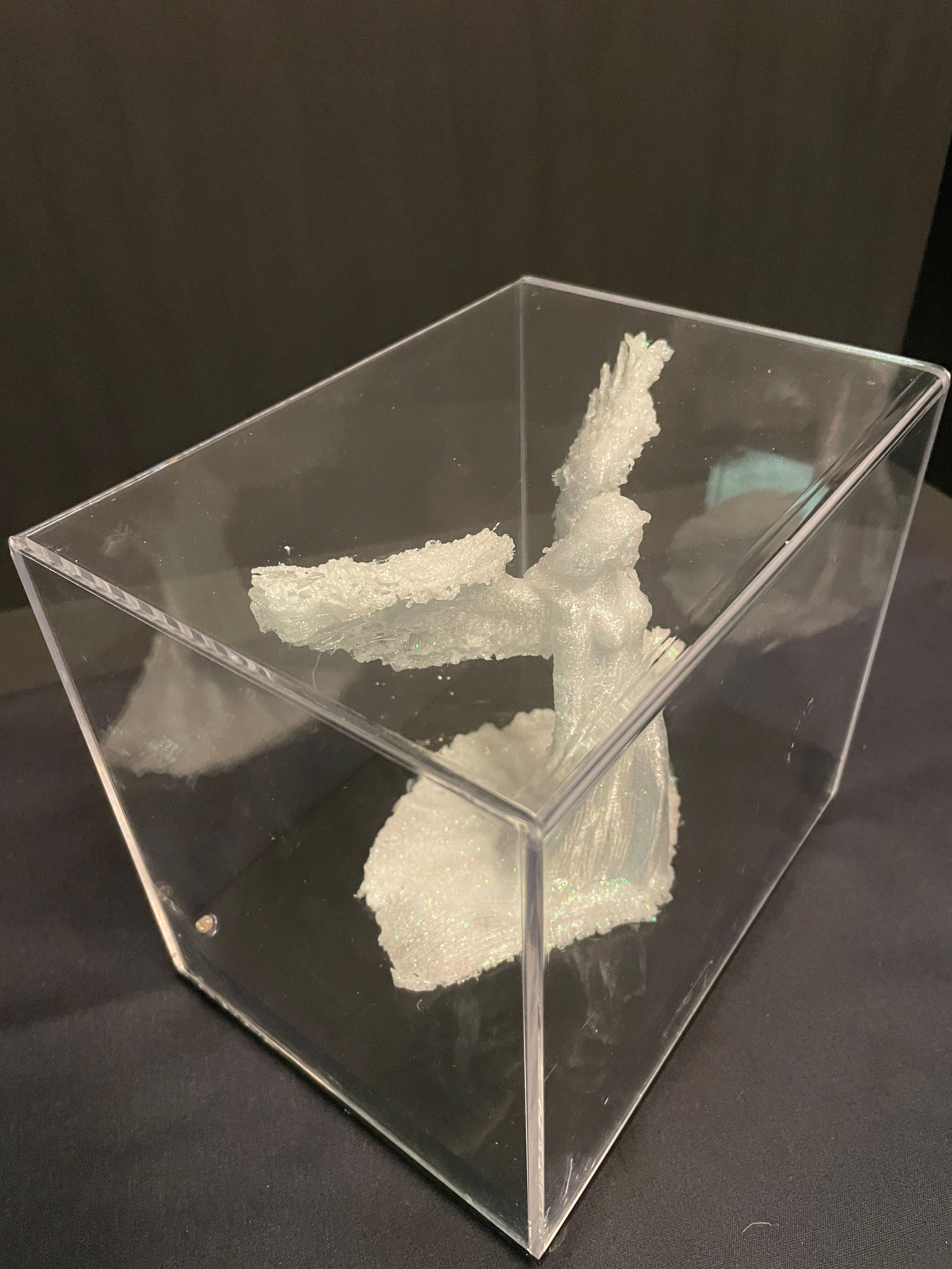 The White Angel